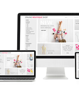 Ecommerce Web Design